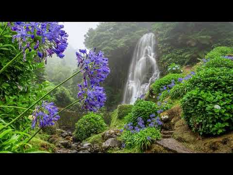 Quel Amour Dieu Me Témoigne - Yvon Gendron