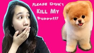 Please don&#39;t shoot my dog