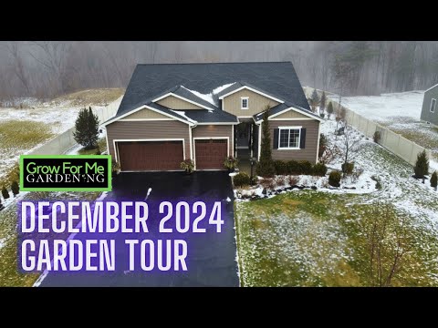 December 2024 Garden Tour ❄️ Winter Interest With Evergreens