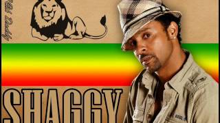 Shaggy - Joy You Bring