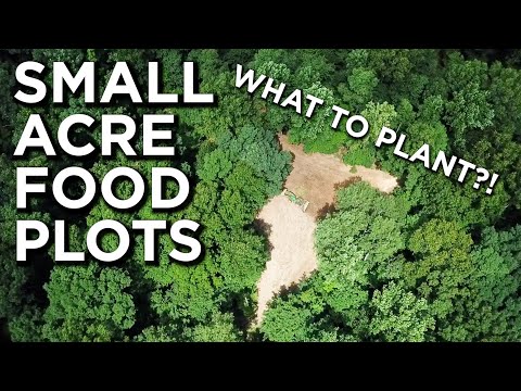 What Should You Plant In Small Acre Food Plots?? | Less Than 1 Acre