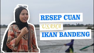 Download lagu Resep Cuan Usaha Ikan Bandeng mp3