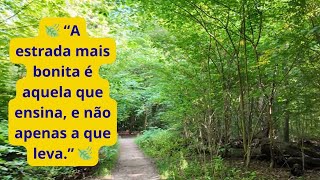 O Caminho da Paz — Lições de uma Trilha na Natureza ✨