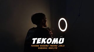 Download lagu Tekomu Nggowo Tresno Janji Rabakal Ngeliyo ( TEKOMU - Milenial Ft Erza Trwln ) Cover By Amrii Aja mp3