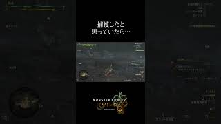 【ワイルズ】捕獲したと思ったのに…　#shorts 　#ワイルズ　#モンハン