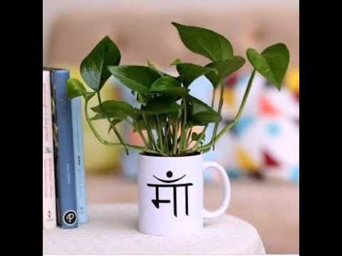 Sunn mere khuda (Maa) by Aagha Ali || MAA || Heart touching & emotional song