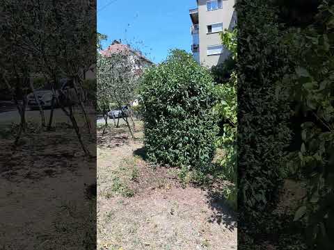 După lucrare 2 - Alex Landscaping