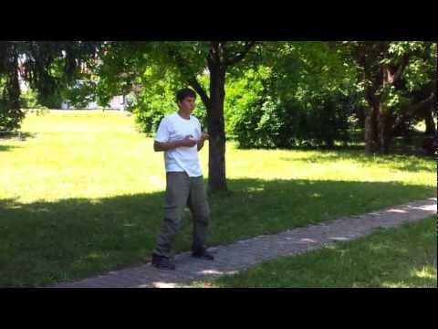 Wing chun empty hand forms.