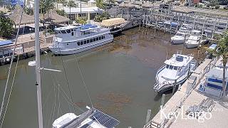 Courtyard by Marriott Key Largo Live WebCam - Key Largo, Florida Keys