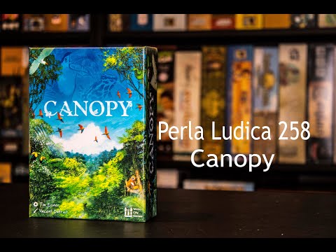 Perla Ludica 258 - Canopy