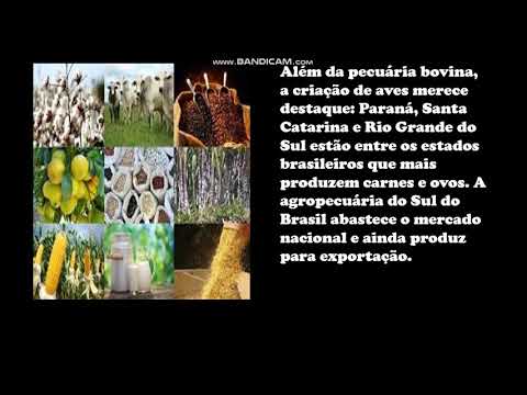 A economia na Região Sul