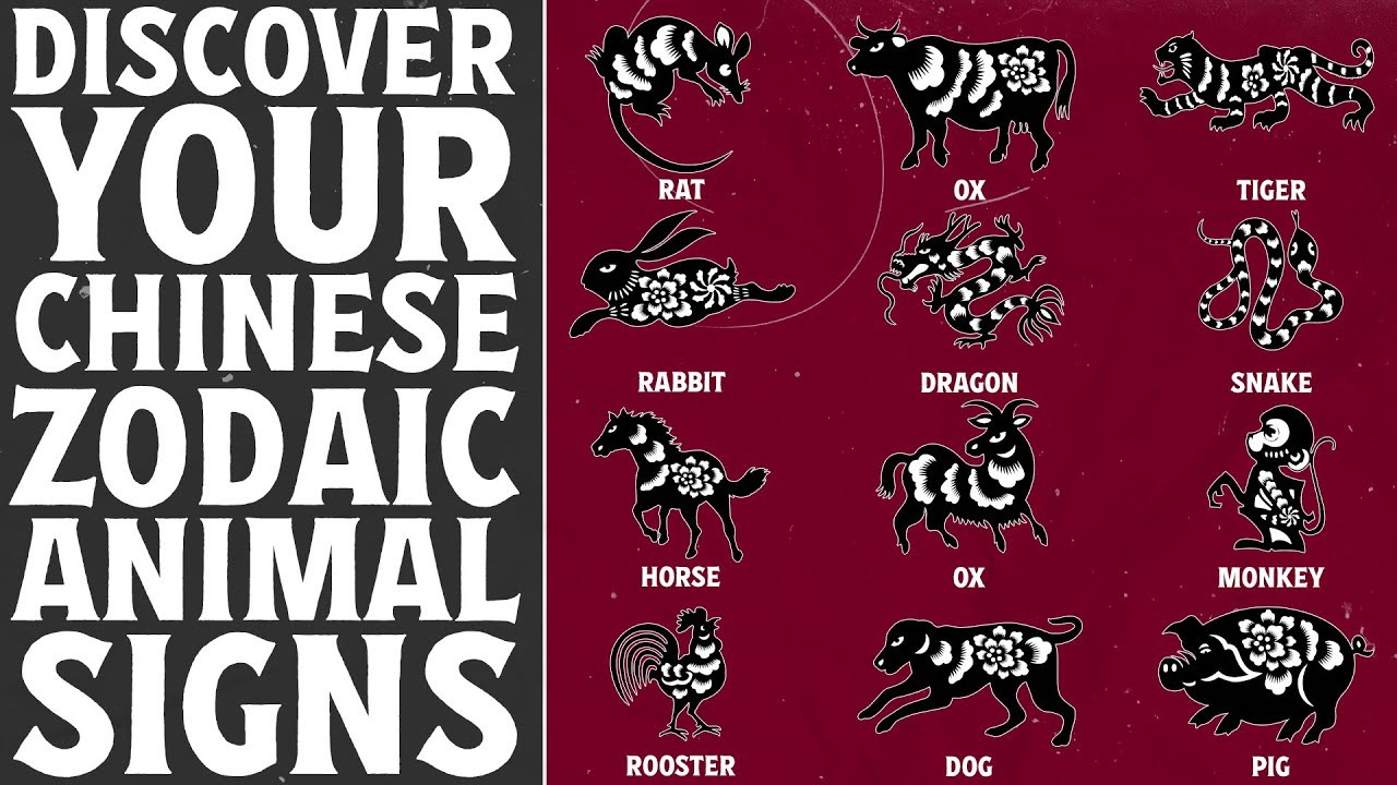 How to Know Which Animal Signs You Are | The 12 Chinese Zodiac Signs (Chinese Astrology Explained)