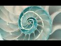 TOOL LATERALUS