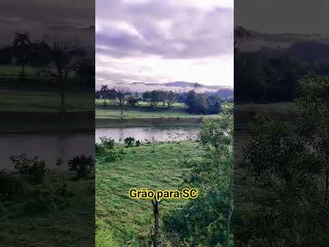 grão para Santa Catarina