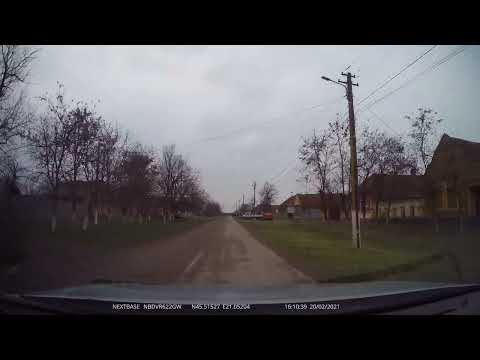 Macedonia, Timiș, România [2021] | 4K