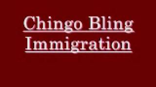 Chingo bling - immigration