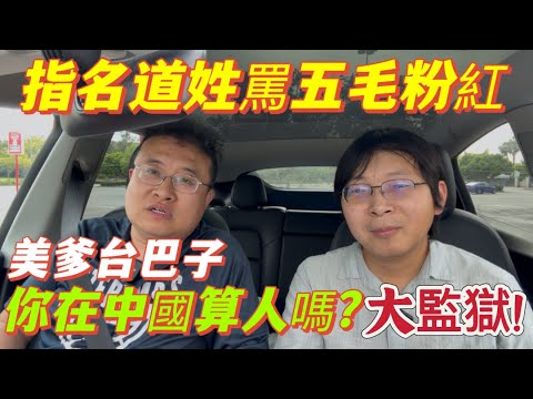 海外華人火力全開罵五毛粉紅，你在中國算人嗎？大監獄里當牛做馬，豬肝紅護照，到哪都有辦簽證！權貴移民美國，讓你愛國996。