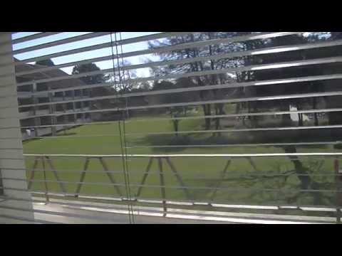 MongoTV_313 - Godmorgen - John Er Træt Af Påsken Og Alt Er Lukket