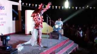 preview picture of video 'Miss Gay Binmaley Brgy Fiesta #12'