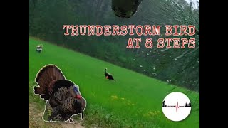 GOBBLER AT 8 STEPS IN THE RAIN//SHOT CAM FOOTAGE