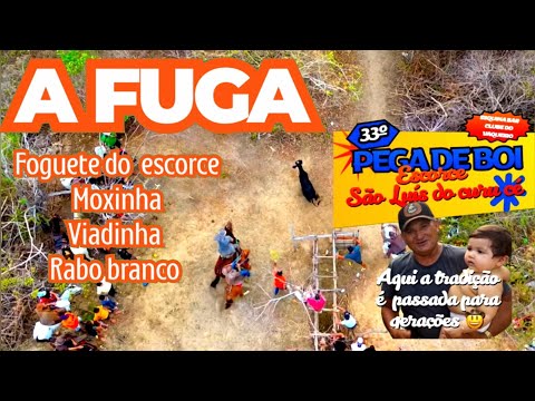Foi Embora (Viadinha, Foguete do escorce ,Moxinha ) Organização Louro do escorce São Luís do curu cé