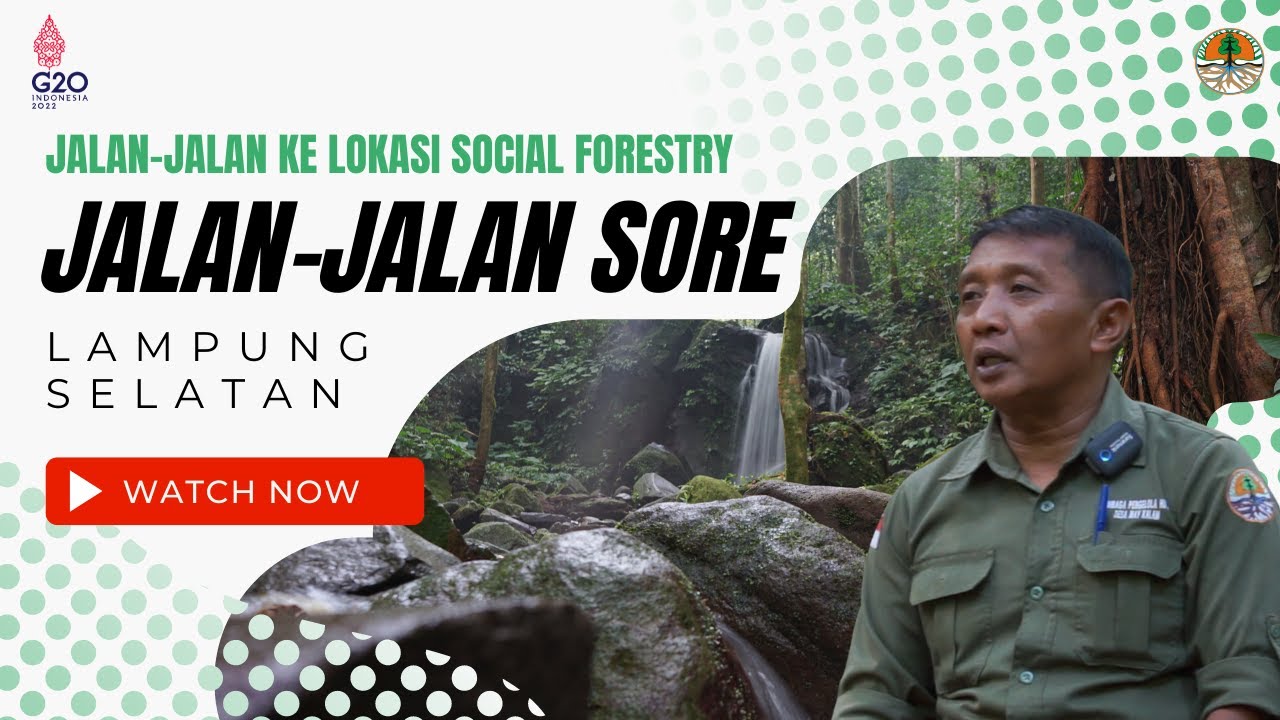 Jalan-jalan Sore ke LPHD Way Kalam, Kabupaten Lampung Selatan
