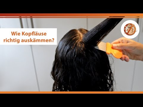 Läuse-auskämmen-Methode mit dem Läusekamm – kurze & lange Haare