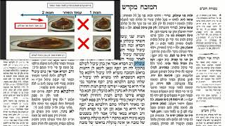 דף יומי מסכת זבחים דף פז Daf yomi Masechet Zevachim page 87  ע"י יוני גוטמן (שיעורי הדף היומי ב-20 דקות – מועבר ע"י ר' יוני גוטמן – לעילוי נשמת אביו ר' אלימלך צבי (צביקה) גוטמן ז"ל) - התמונה מוצגת ישירות מתוך אתר האינטרנט יוטיוב. זכויות היוצרים בתמונה שייכות ליוצרה. קישור קרדיט למקור התוכן נמצא בתוך דף הסרטון