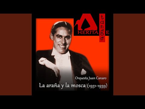 Recuerdos de la pampa