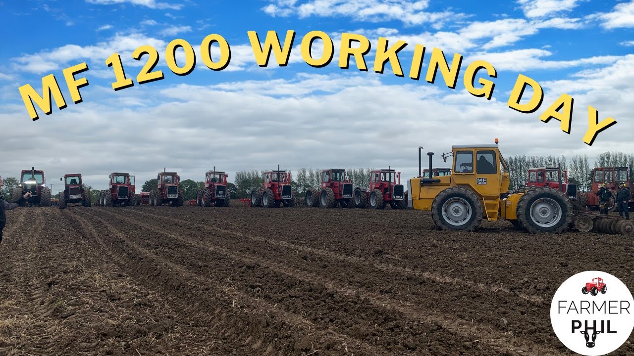 MASSEY FERGUSON 1200 WORKING DAY!