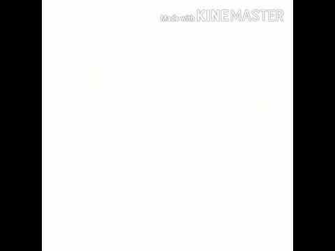 Parrot with Stippling Technique