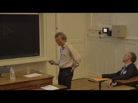 Masaki Kashiwara: Algebraic Analysis and Pierre Schapira