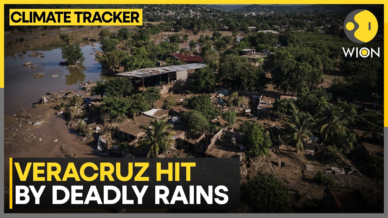 Deadly Floods Kill 10 In Eastern Mexico | WION News