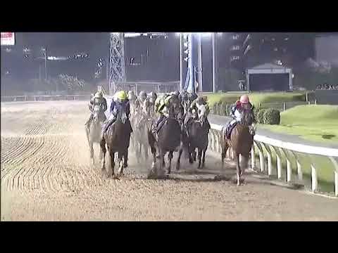2018.09.12 Totsuka Kinen (JPN) - Chaiyaphum