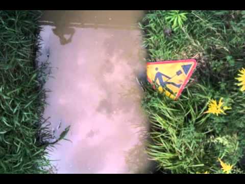 kaiza - hollowgram feat. bassrk isotop and d struct