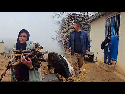 Rainfall and many challenges for Fariba in it