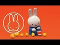 Welcome To The Official Miffy Channel
