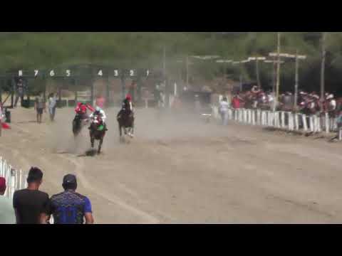 MAINQUE   3°CHAPULIN  5-2-23