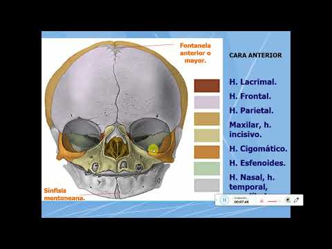Geles de refrigeración con osteocondrosis Cómo tratar osteocondrosis de los remedios populares de la columna vertebral dorsal cervical