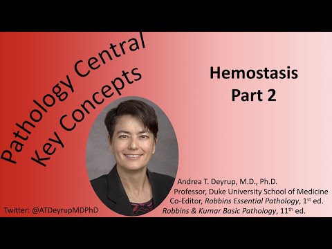 Pathology Central Key Concepts: Hemostasis Part 2