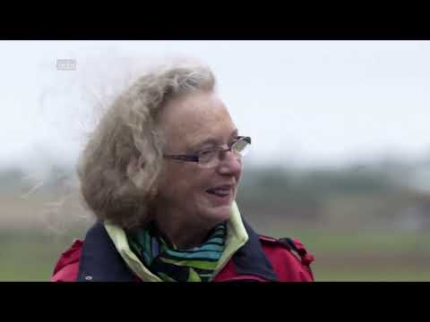 Genial konstruiert: Superschiffe Doku (2019)