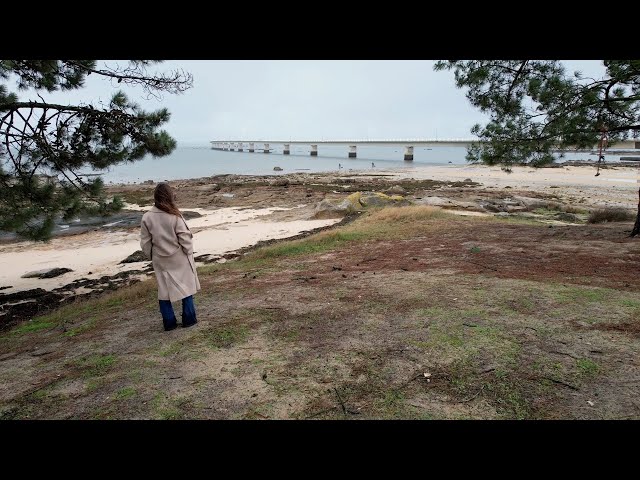 Vídeo relacionado con La conjura de la niebla (SUMA)