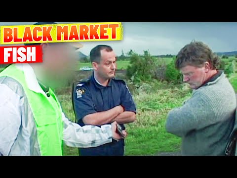 Man Fined $53,000 For Black Market Sales