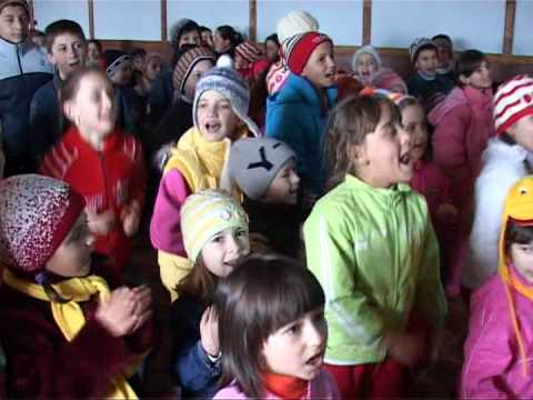 Lectia de zambet Com Dragalina Drajna