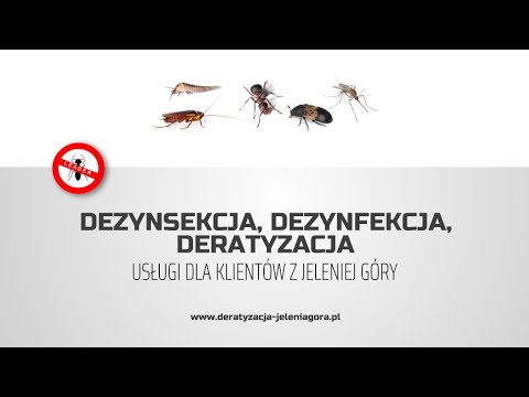Zobacz filmy filmy