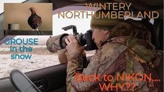 WINTERY NORTHUMBERLAND GROUSE/BIRD PHOTOGRAPHY/ RETURN TO NIKON