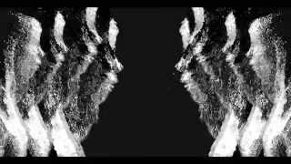 K.Flay &amp; Danny Brown - Hail Mary [Fan Made Music Video 2015]