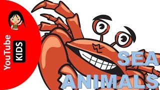 Learn Sea Animals Names and Sounds with Actual Pictures - YouTube Kids