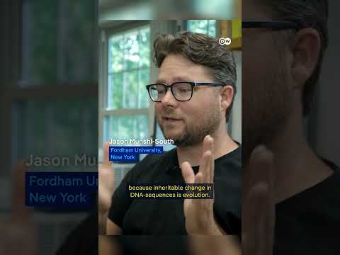 Are Our Cities Accelerating Evolution? | Dw Documentary