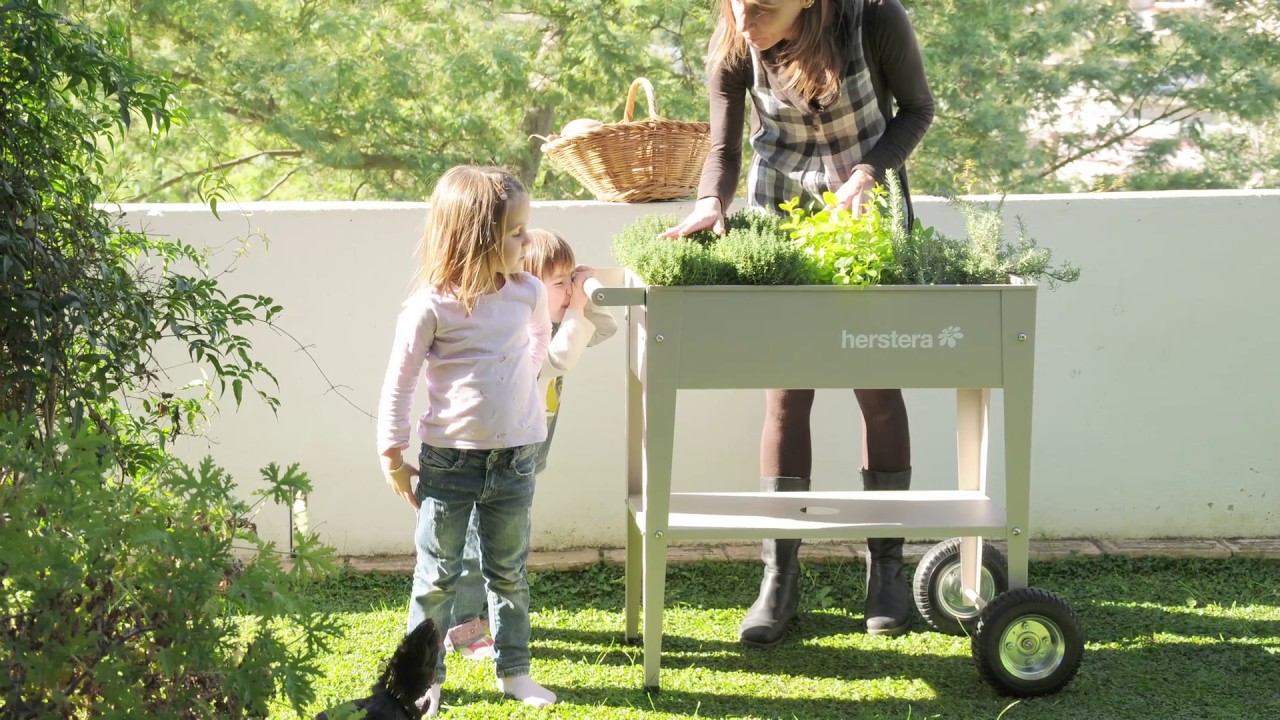 Herstera Jardinière surélevée 120 x 60 x 84cm galvanisé, chariot à roulettes